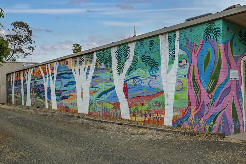 Wedderburn Street Art